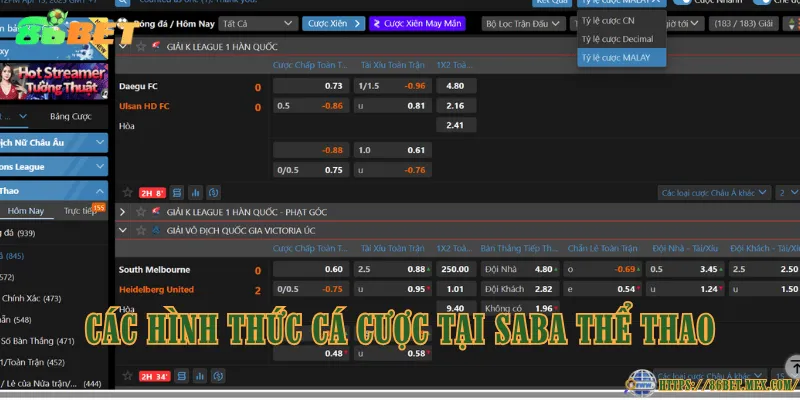 SABA Thể Thao – Sảnh cá cược thể thao hàng đầu Các hình thức cá cược tại SABA Thể Thao