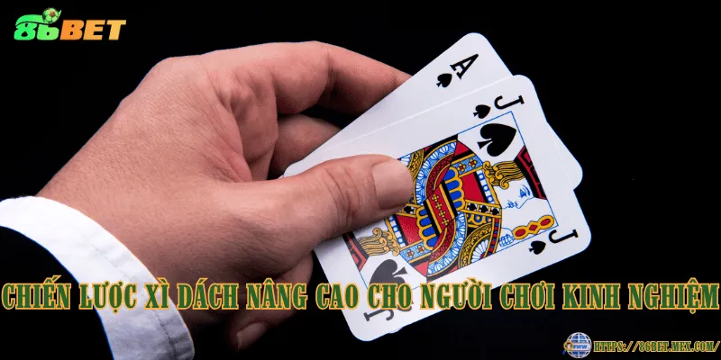 Chiến lược Xì Dách nâng cao cho người chơi kinh nghiệm