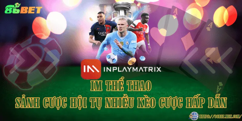 IM thể thao - Sảnh cược hội tụ nhiều kèo cược hấp dẫn