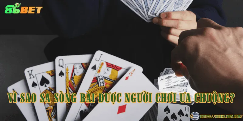 Vì sao SA sòng bài được người chơi ưa chuộng?